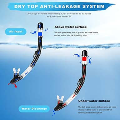 Snorkeling Gear for Adults, Dry Top Snorkel Set with Panoramic Anti-Leak and Anti-Fog Tempered Glass Lens, Adjustable Snorkeling Set for Scuba Diving Swimming Training Snorkel Kit - Image 5