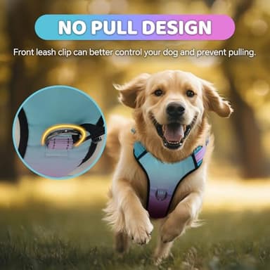 QQPETS No Pull Dog Harness with 2 Leash Clips,Adjustable Soft Padded Dog Vest, Reflective Outdoor Pet Oxford Vest with Easy Control Handle for Small to Large Dogs Walking Training - Image 3
