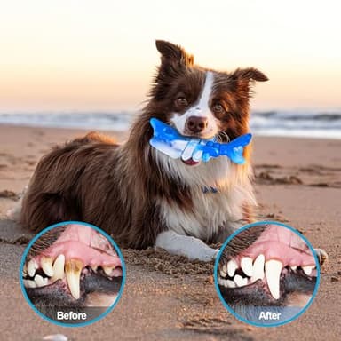 PETSTA Dog Chew Toys for Aggressive Chewers, Durable Toys for Large Dogs, Heavy Duty Indestructible Large Dog Toys, Tough Dog Toys for Medium/Large Dogs Breed - Image 4