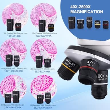 Microscope for Adults & Kids, 40X-2500X High-Power Compound Microscope for Students, School Lab & Home Schooling,Equiped with Slides Set & Phone Holder - Image 2