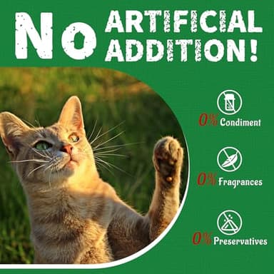 Just Try 13.4 OZ Cat Treats for Indoor Cats Hairball Control Natural Salmon Healthy Cat Grass Treats Kitten Snacks Training Biscuits Catnip for Cats Dental Care - Image 9