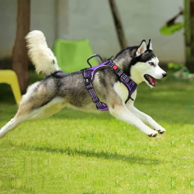 PoyPet No Pull Dog Harness, No Choke Front Clip Reflective Dog Vest with Soft Padded Vertical Handle, 3 Leash Attachments for Small Medium Large Dogs (Purple,XL) - Image 3
