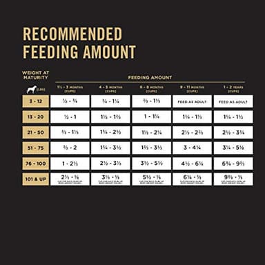 Purina Pro Plan High Protein Puppy Food Shredded Blend Chicken & Rice Formula - 6 lb. Bag - Image 9