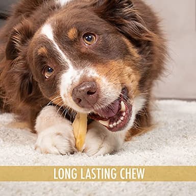 Wild Eats Water Buffalo All Natural Ear Dog Chews, Dog Treats & Snacks - 20 Piece Value Pack (Grain Free Treats - Great Alternative to Pig Ears, Cow Ears, Bones & Rawhides) - Image 4