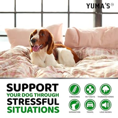 Hemp Calming Chews for Dogs - Advanced Dog Calming Chews - 170 Treats - Anxiety Relief Treats - Hemp Oil - Separation Aid, Stress, Hip and Joint Supplement for Canine Health Support - Beef Flavor - Image 4