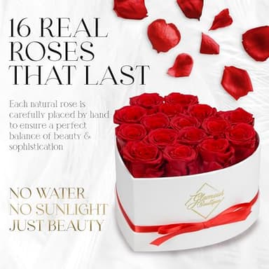 GLAMOUR BOUTIQUE Preserved Roses in a Box - Gifts for Her, Wife & Mom, Rose Flowers Forever Decor for Birthday Gift, Get Well Flower Bouquet Cased in White Box with Cover - Red - 16-Piece - Image 2