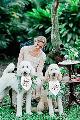 Cgvovgr Dog Bandana, 100% Cotton, Breathable, White, Medium-Large, 2-Pack, for Wedding & Engagement - Image 3