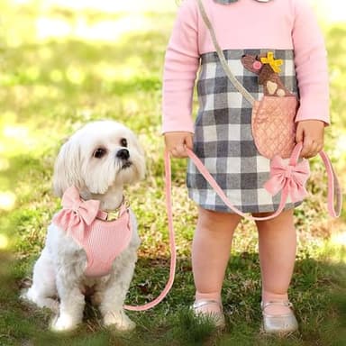 Didog Cute Small Dog Collar Harness & Leash Set, Adjustable Dog Collars and Leashes with Bowtie, Breathable Soft Mesh Padded Dog Vest for Puppies Small Dogs Walking,Pink, S - Image 2