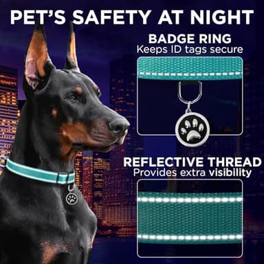 TECEUM Reflective Dog Collar – Teal – M – Extra Soft Padding – Basic Nylon Pet Collar – Quick Release Buckle – Fits Small, Medium and Large Dogs, Puppies, Cats – ESA & Service Dog Options - Image 4