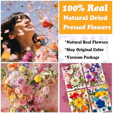 LUCISKY 85 Pcs Dried Pressed Flowers for Resin Molds, Real Natural Flowers Leaves for DIY Crafts, Nails, Jewelry, Soap and Candle Making - Image 2