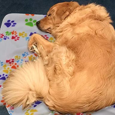 Comsmart Dog Blankets for Small Dogs, 6 Pack Puppy Blanket Cute Paw Print Pet Blanket for Dog, Puppy, Cat, Kitten, 39x35 inches, White - Image 7