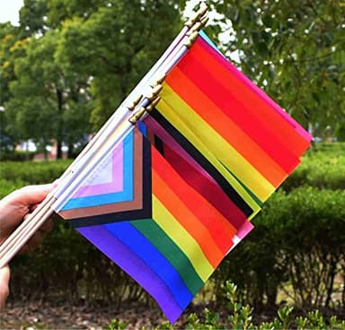 XCFH Pride Rainbow Small Stick Flag All Mini Hand Held LGBTQ Flags,20 Pack,5x8 Inch - Image 2