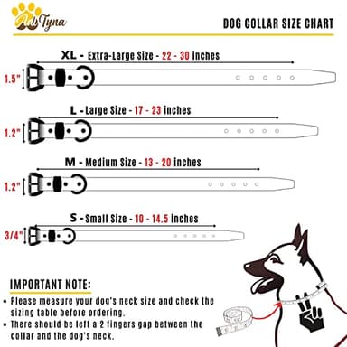 ADITYNA Heavy-Duty Black Leather Dog Collar for Small Dogs - Soft Padded for Comfort - Small Dog Collar for Walking, Training, and Hiking - Image 2