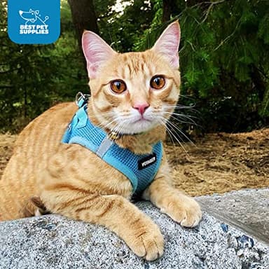 Best Pet Supplies Voyager Step-in Air Harness - All Weather Mesh, Reflective, No Pull Harness for Dogs, Cats - Secure with Hook & Loop Fastener, Buckle, Double D-Rings - Baby Blue, S - Image 9