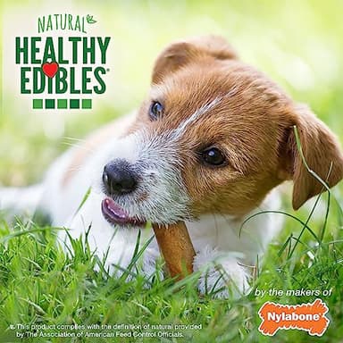 Nylabone Healthy Edibles Natural Dog Chews Long Lasting Roast Beef & Chicken Flavor Treats for Dogs, Small/Regular (12 Count) - Image 6