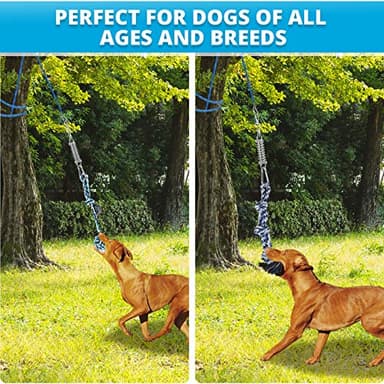 TT TRSMIMA Spring Pole Rope Toys: Rope Pull & Tug of War with a Big Spring Pole Kit & 2 Strong 16ft Toys - Muscle Builder Interactive Toy for Pitbull Medium to Large Dog - Image 6