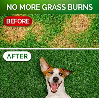 Grass Burn Spot Chews - Dog Urine Neutralizer for Lawn - 120 Grass Green Treats, Rocks - Pee Grass Spot Saver Caused by Dog Urine - Probiotics - Digestive Enzymes - Made in USA - Image 2