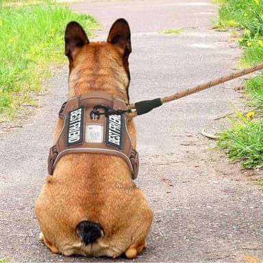 Beebiepet Heavy Duty Tactical Dog Harness for Medium Dogs, Brown, Molle System, Four-point Adjustment, Anti-lost ID Tag, Includes 5ft Leash - Image 3