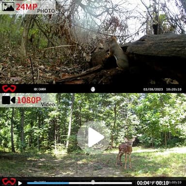 WOSODA Mini Trail Camera 4 Pack 24MP 1080P HD, Game Cam with SD Card, Waterproof Tiny Hunting Camera Night Vision Motion Activated with Fast Trigger Time for Outdoor Wildlife Monitoring - Image 2