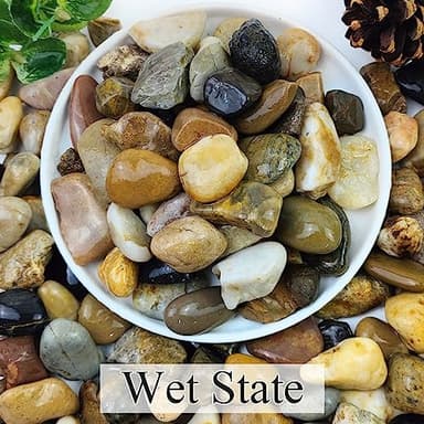 YISZM 5lbs Aquarium Rocks, 5/8" Natural Mixed Pebbles for Plants Decorative Polished River Rocks for Fish Tank, Landscaping, Gardening, Flower Pots, Vase Fillers, Indoor Water Fountains - Image 2