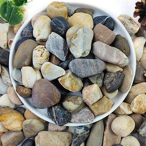 YISZM 5lbs Aquarium Rocks, 5/8" Natural Mixed Pebbles for Plants Decorative Polished River Rocks for Fish Tank, Landscaping, Gardening, Flower Pots, Vase Fillers, Indoor Water Fountains - Image 1