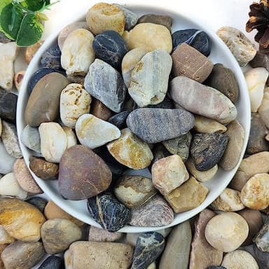 YISZM 5lbs Aquarium Rocks, 5/8" Natural Mixed Pebbles for Plants Decorative Polished River Rocks for Fish Tank, Landscaping, Gardening, Flower Pots, Vase Fillers, Indoor Water Fountains - Image 1