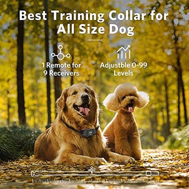 Dog Training Collar - Rechargeable Dog Shock Collar with Beep, Vibration and Shock Training Modes, Rainproof, Long Remote Range, Adjustable Shock Levels Shock Collars for Dogs with Remote - Image 3