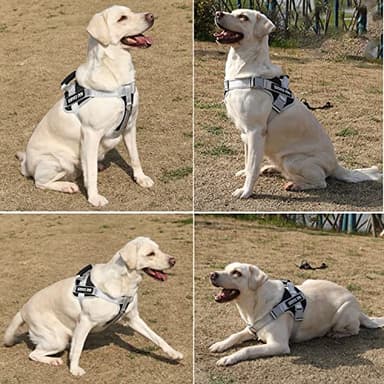 Dogmify Service Dog Vest,No Pull in Training Service Dog Harness and 5FT Dog Leash Set, Adjustable 3M Reflective Nylon Pet Dog Vest with Handle,Easy Control for Small Medium Large Dogs(S,Black) - Image 5
