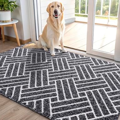 OLANLY Indoor Door Mat, 48x32 Inch, Dirt Resistant and Absorbent, Non-Slip Rubber Backing Floor Mats, Easy Clean Low-Profile Doormat for Entryway, Front Door, and Inside Entrance, Black - Image 1