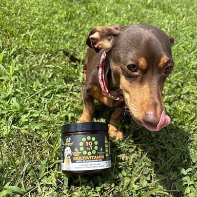 Googipet Premium 10 in 1 Dog Vitamins Multivitamin Chewable with Probiotics for Gut Health, Dog Vitamins and Supplements w/Vitamin C & Glucosamine for Joint Support (Chicken & Vegetable Flavor) - Image 9