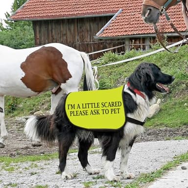 Nervous Dog Jacket Vest A Little Scared Please Ask to Pet Dog Slogan Vest Social Distancing (Please Ask to pet-Large) - Image 5