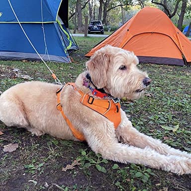 BV Dog Tie Out Cable 25 Feet - Heavy Duty Dog Lead up to 90 Pounds - Reflective & Rust-Free with Quick Release Swivel Clips & 360° Rotating Clasp - Tangle-Free Dogs Runner for Yard (Silver, Single) - Image 9