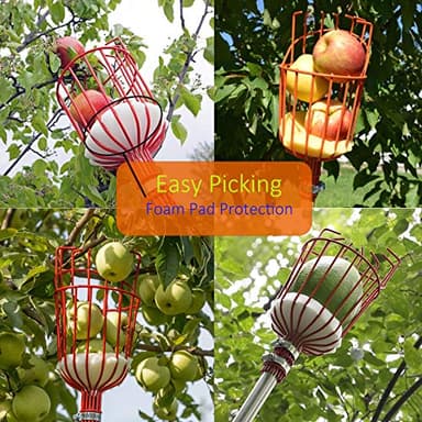 HOSKO 5.5FT Fruit Picker Tool, Lightweight High-Grade Stainless Steel Adjustable Fruit Picker with Metal Twist-on Basket, Suit for Apple Pear Cherry Mango Guava Orange Avocados Etc Fruit Picking - Image 6