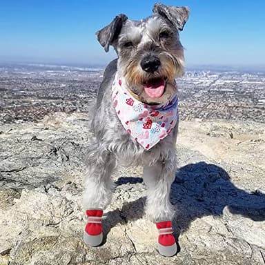 QUMY 2PCS Small Dog Shoes for Hot Pavement Summer Puppy Dog Booties with Reflective Strip Soft Comfortable Skid-Resistant Rubber Sole Red Size 4 - Image 6