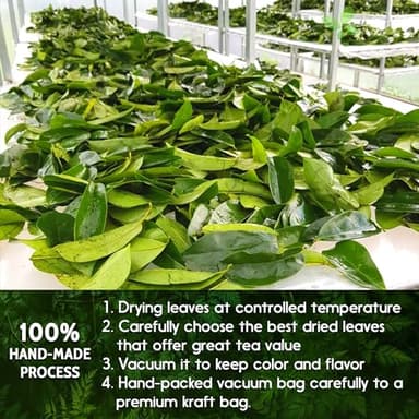 40 Premium Soursop Graviola Leaf Tea Bags, 100% Natural and Pure from Soursop Leaves, Handmade, Made With Natural Materials-Corn Fiber Tea Bag, Sugar/Caffeine/Gluten Free, Hoja Guanabana Tea - Image 8
