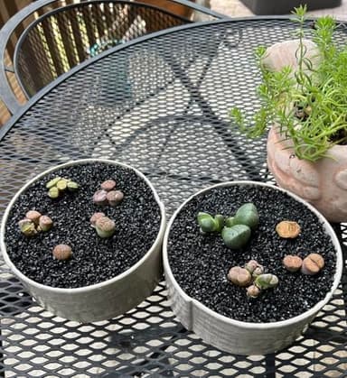 TOYPOPOR 2.2 lb Black Lava Pebble Vase Filler Pebbles Stones Crafting Floral Arranging Home Decor Decorative Colored Crushed Stones Special Black Aquarium Gravel for Freshwater Aquariums - Image 4