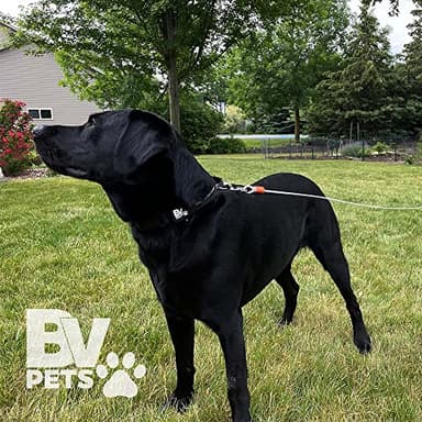 BV Dog Tie Out Cable 25 Feet - Heavy Duty Dog Lead up to 90 Pounds - Reflective & Rust-Free with Quick Release Swivel Clips & 360° Rotating Clasp - Tangle-Free Dogs Runner for Yard (Silver, Single) - Image 8