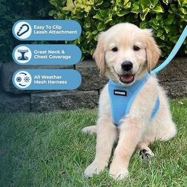 Voyager Step-in Air All Weather Mesh Harness and Reflective Dog 5 ft Leash Combo with Neoprene Handle, for Small, Medium and Large Breed Puppies by Best Pet Supplies - Set (Baby Blue), M - Image 6