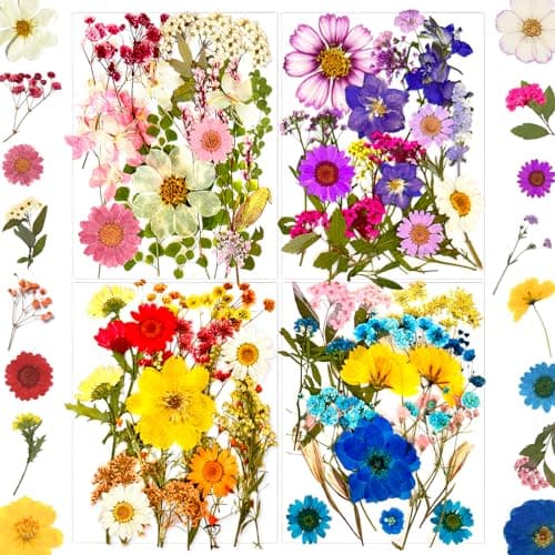 LUCISKY 85 Pcs Dried Pressed Flowers for Resin Molds, Real Natural Flowers Leaves for DIY Crafts, Nails, Jewelry, Soap and Candle Making - Image 1
