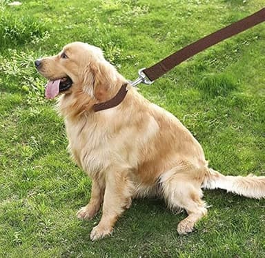 TAIAN 4FT/5FT/6FT Strong Dog Leash, Nylon Dog Leashes for Small Medium Large Dogs (Brown, 1 in x 10 ft) - Image 7