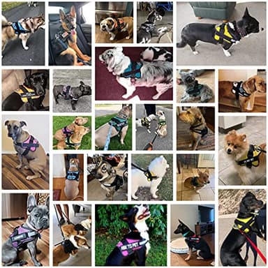 Bolux Dog Harness, No-Pull Reflective Dog Vest, Breathable Adjustable Pet Harness with Handle for Outdoor Walking - No More Pulling, Tugging or Choking (Purple, M) - Image 5