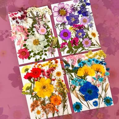 LUCISKY 85 Pcs Dried Pressed Flowers for Resin Molds, Real Natural Flowers Leaves for DIY Crafts, Nails, Jewelry, Soap and Candle Making - Image 3