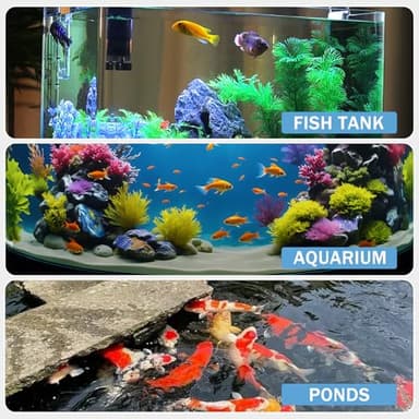 Wutest 9-Way Aquarium Test Strips - 150 Aquarium Water Test Kit Fish Tank Test Kit Quick & Accurate Testing Iron Copper Nitrate Nitrite Chlorine Total Hardness Total Alkalinity Carbonate pH - Image 7