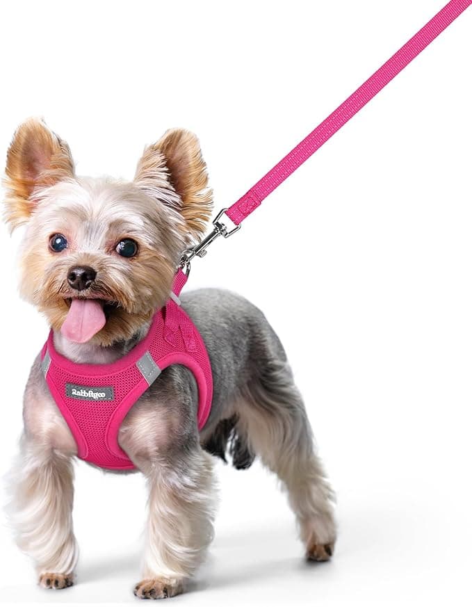 rabbitgoo Dog Harness Small Sized and Leash Set, Step in Soft Light Puppy Vest, Breathable Mesh Pet Harness, Reflective for Safe Easy Walking, Rose Red XS - Image 1