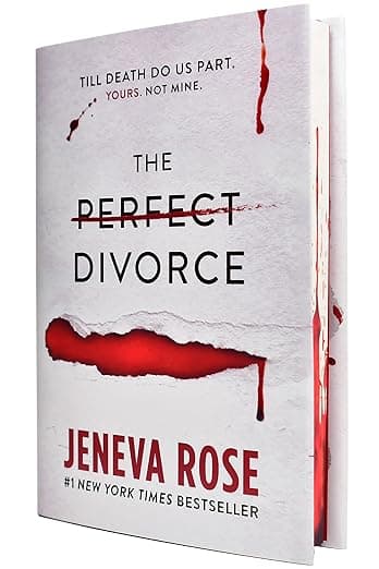 The Perfect Divorce - Image 1