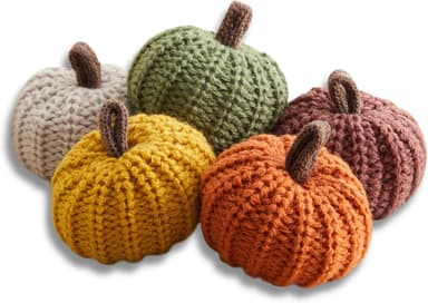Your Heart's Content MINI Knit Pumpkins Set of 5, Fall Favorite, Gifts for Women, Autumn Bowl fillers Fall Farmhouse Tier Tray Decor, Decorative Pumpkins for Friend (Autumn Set - Image 2