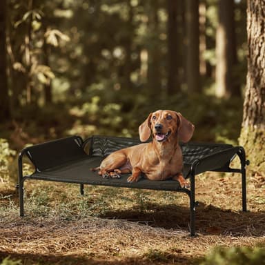 Gardner Pet Elevated Dog Bed for Small Dog, Outdoor Raised Bed Waterproof Portable Cooling Pet Cot Hammock Bed with 3-Sided Guardrail, Breathable Mesh, Black, 35 Inches - Image 2