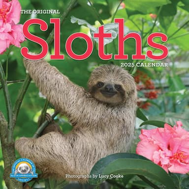 Original Sloths Wall Calendar 2025: The Ultimate Experts at Slowing Down - Image 2