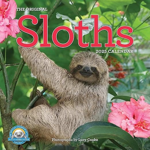 Original Sloths Wall Calendar 2025: The Ultimate Experts at Slowing Down - Image 1
