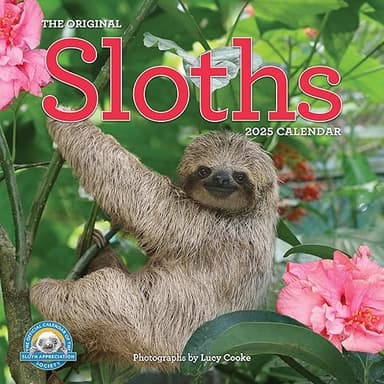 Original Sloths Wall Calendar 2025: The Ultimate Experts at Slowing Down - Image 1